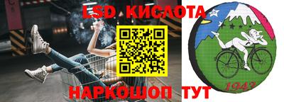 ALPHA PVP Бердск