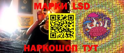 гашик Боровичи