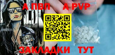 гашик Боровичи