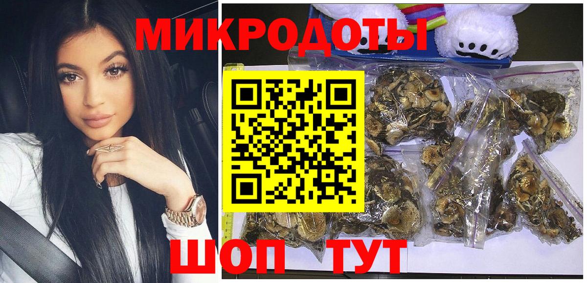 купить наркотики сайты  Вход с VPN  Жигулёвск  Псилоцибиновые грибы мицелий 
