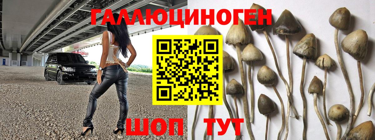 Псилоцибиновые грибы Magic Shrooms Жигулёвск